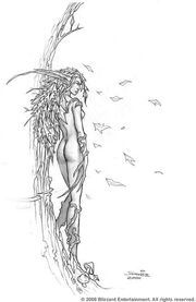 Nymph