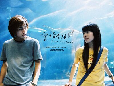 Love contract