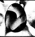 Black egg