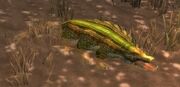Drywallow Daggermaw