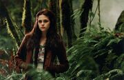 Bella-in-woods