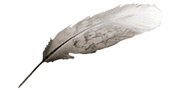 Feather AC2