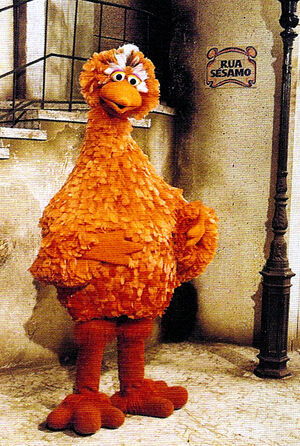 RuaSesamo POUPAS