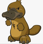 Platypus2