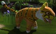 Viva pinata- tigermisu