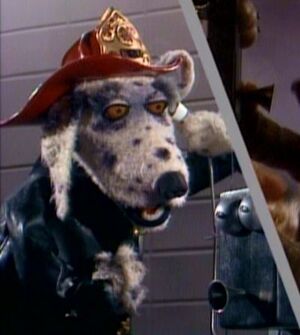 Spot-dogcity