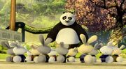 Po-bunnies-SotFF