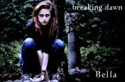 Bella Cullen (2)