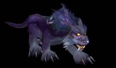 NEDruidcat