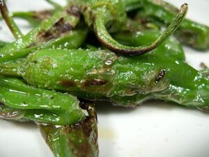 Grilled-shishito-pepper