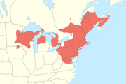 Wood turtle distribution