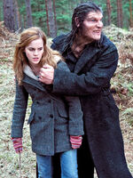 Greybackhermione.jog