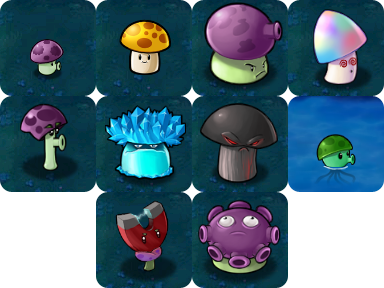 The Ten Mushrooms