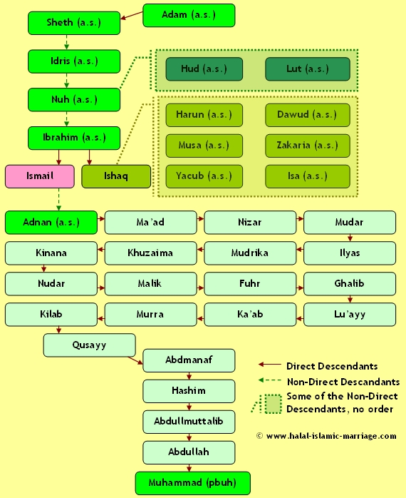 Islam Baum