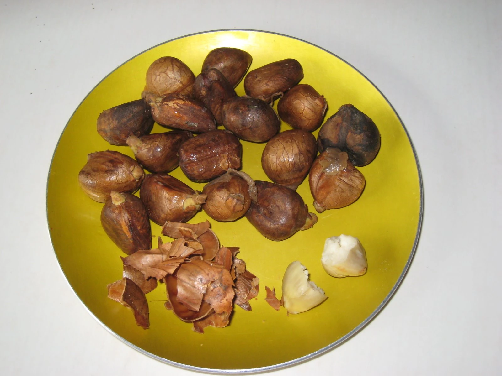 Breadnut seeds Recipes Wiki