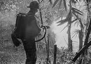 Flamethrower in Vietnam