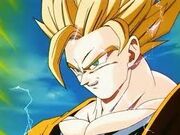 Gokuss2