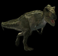 Tyrannosaurus 3D Model