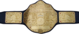http://static4.wikia.nocookie.net/__cb20110410231033/wweallstars/images/a/a3/World_Heavyweight_Championship_icon.png