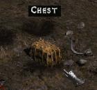 Chest 2