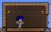 Wood wall placed