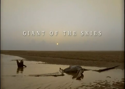 walking with dinosaurs giant of the skies
