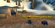 WoWScrnShot 061211 125235