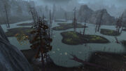 HailwoodMarsh