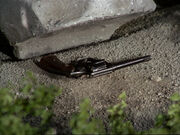 Revolver