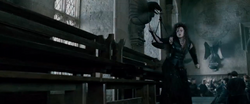 Bellatrix
