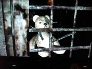 TeddyInPain2