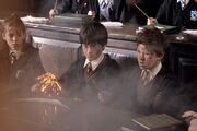 Seamus & Harry
