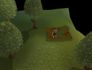 Tolna trapped