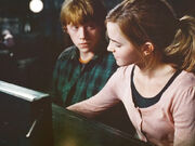 Hermionefaghhd