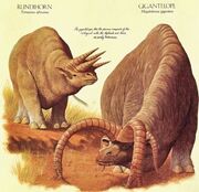 Tetraceros africanus y megalodorcas giganteus