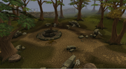 Lumbridge woodlands