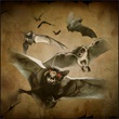 Cave bats 2