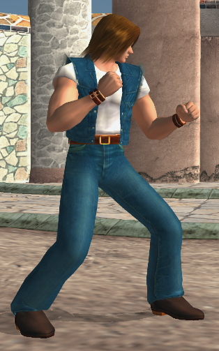 DOA2_Ein_C2.png