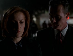 DoggettComfortsScully