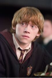 P6 Ron Weasley en 1995