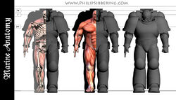 PhilipSibberingSpaceMarine size