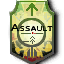 Iw5 cardicon assault class