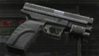 FileRE4Weapon Blacktail