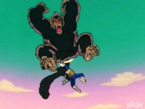VEGETA FASE4 vegeta fase4: