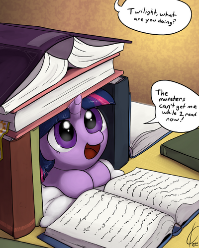 Book Fort