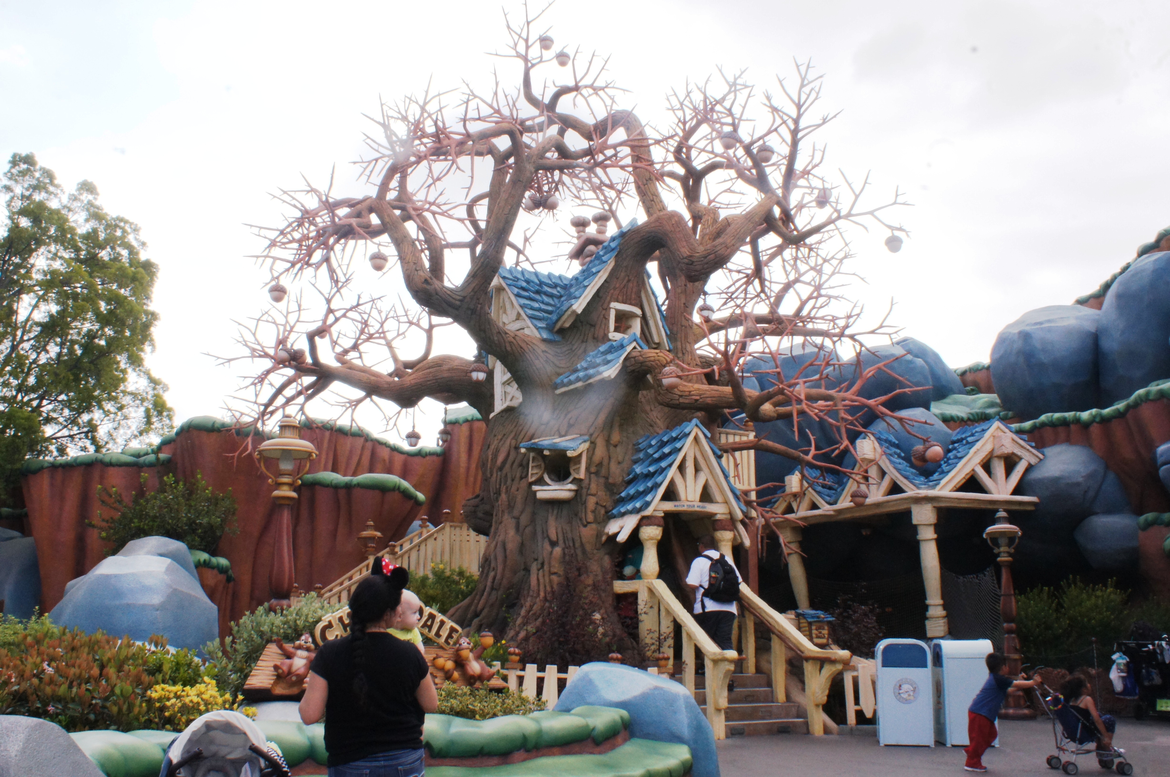 Chip And Dale S Treehouse Disney Wiki