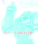Wiki