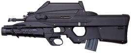 F2000 IRL