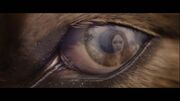 Jacob-eye-Renesmee-BD