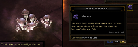 Black mushroom